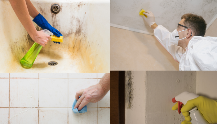 How Do You Clean Mould